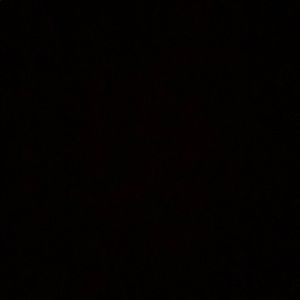 Meet your Posher, Leila